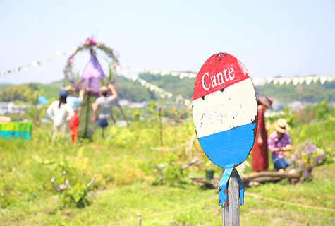 千早赤阪村「畑の結婚式」写真撮影